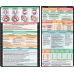 OB Ultrasonography Adhesive Reference Label